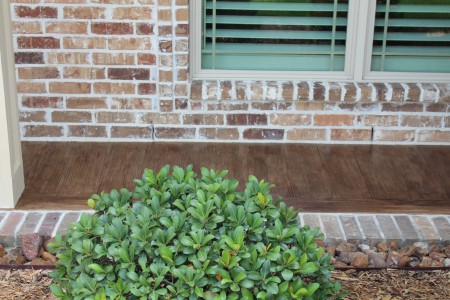 Front Along Window After Finish Front Along Window After Finish